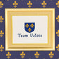 Team Valois Cross Stitch Pattern (small) | PDF Instant Download | Unique Gift for Fans of French History, Joan of Arc, & Medieval Heraldry