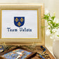 Team Valois Cross Stitch Pattern (small) | PDF Instant Download | Unique Gift for Fans of French History, Joan of Arc, & Medieval Heraldry