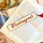 House of Plantagenet Bookmark Cross Stitch Pattern | PDF Instant Download | Gift for Lovers of History, Royal Family & Medieval Heraldry